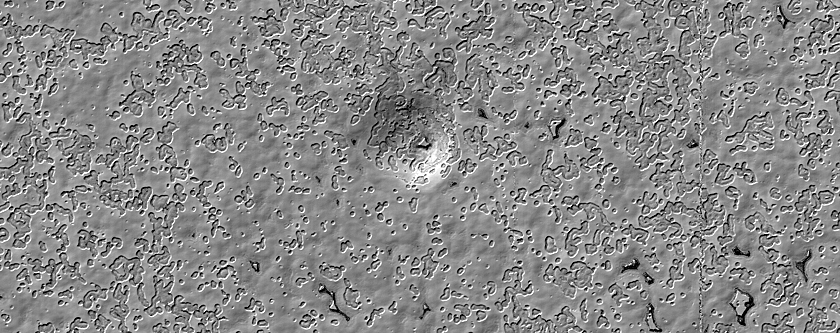 South Polar Monitoring