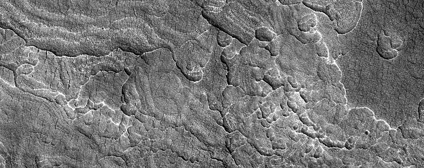 Scalloped Depressions in Utopia Planitia
