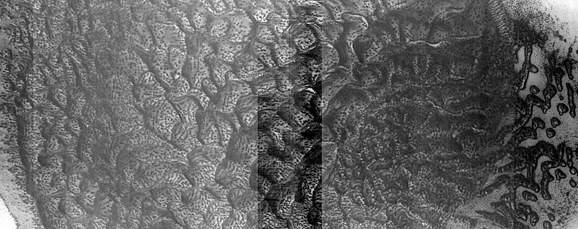 Dune Monitoring in Crater