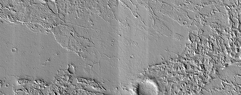 Amazonis Planitia