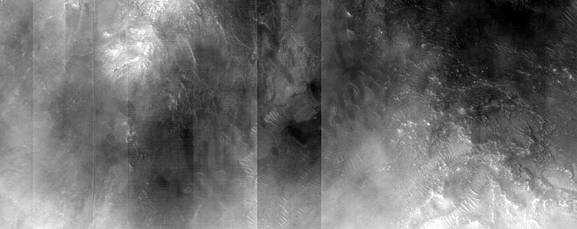 Dune Monitoring in Gamboa Crater