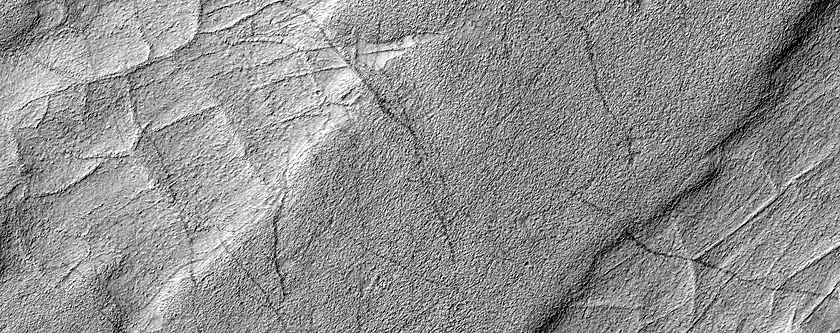 Ridge Network in Hellas Planitia