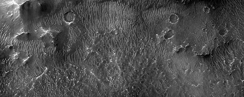 Impact-Related Deposits and Flows in Margaritifer Terra