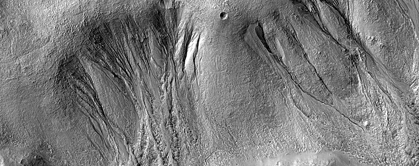 Gully Monitoring