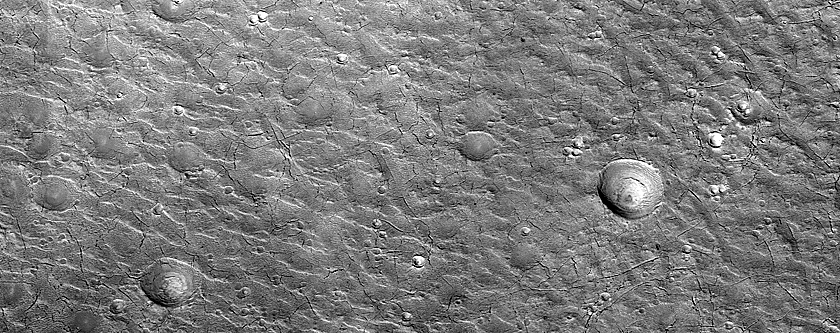 Ridge Network in Northern Mid-Latitudes
