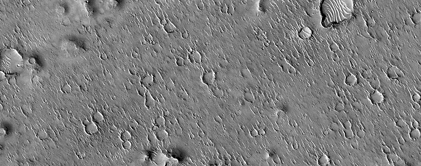 Pitted Cones in Isidis Planitia