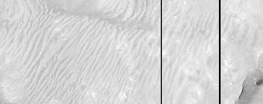 Daedalia Planum