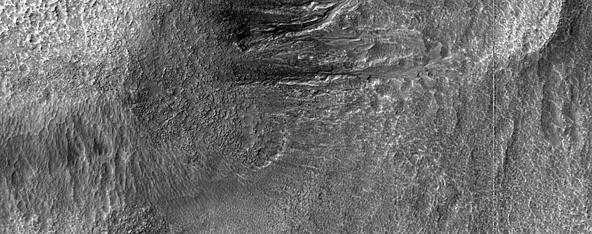 Gullies in Southern Mid-Latitude Crater