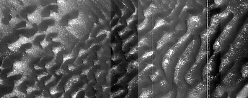 Dune Monitoring in Crater