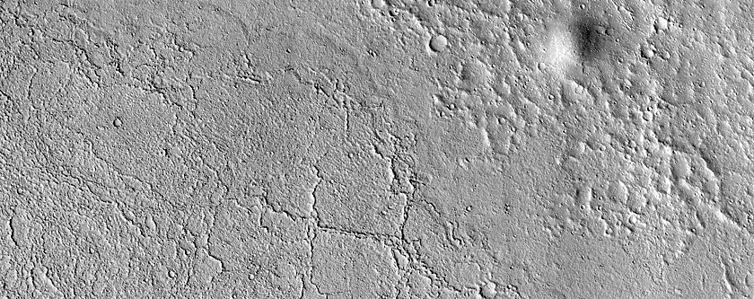 Lava Margins in Elysium Planitia