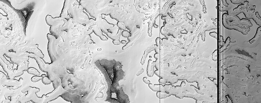 Monitoring of South Polar Residual Cap