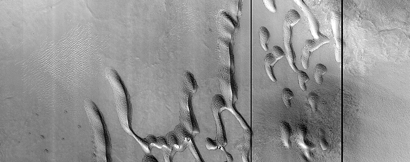 Dune Monitoring in Kunowsky Crater
