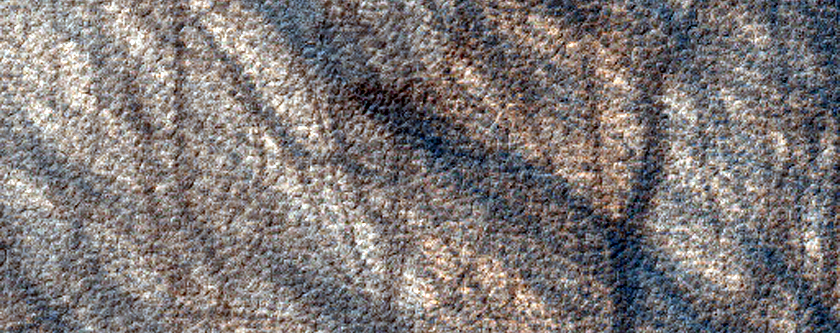 Terrain Sample