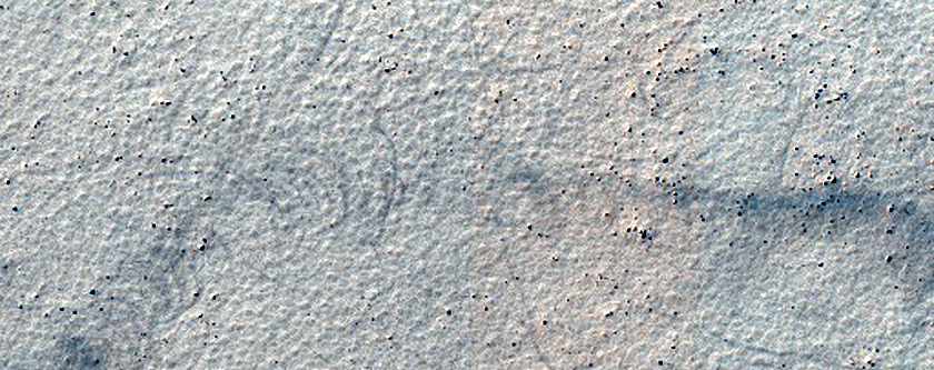 Terrain Sample