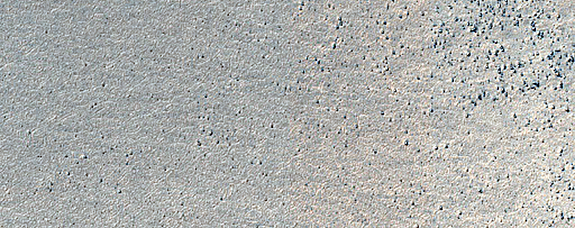 Terrain Sample