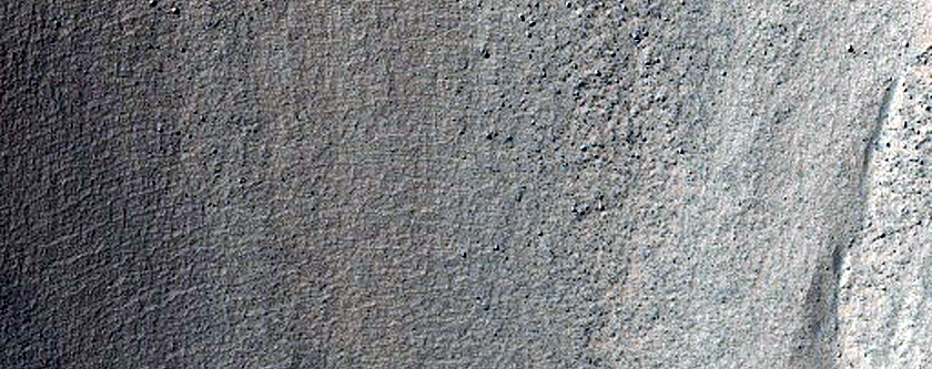 Very Fresh Gullied and Mantled Crater