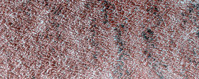 Terrain Sample