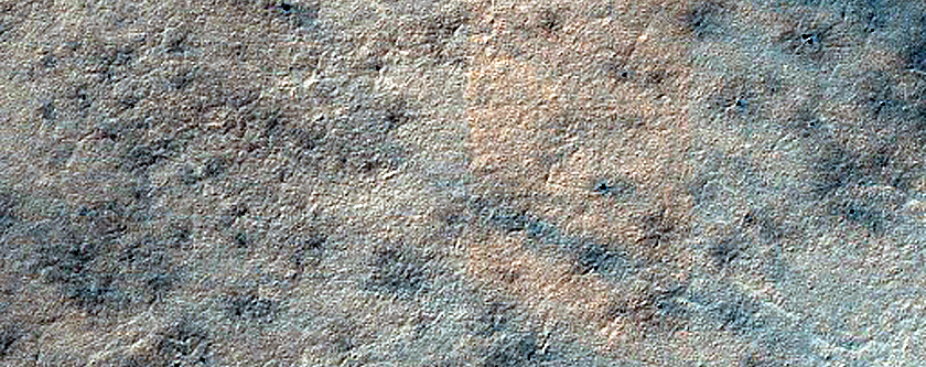 Terrain Sample