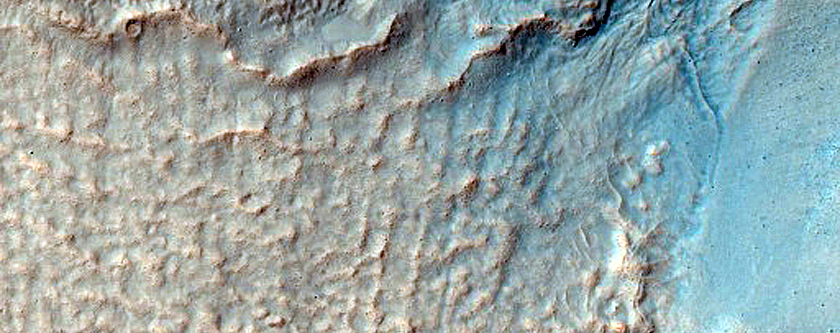 Gullies with Recent Deposit