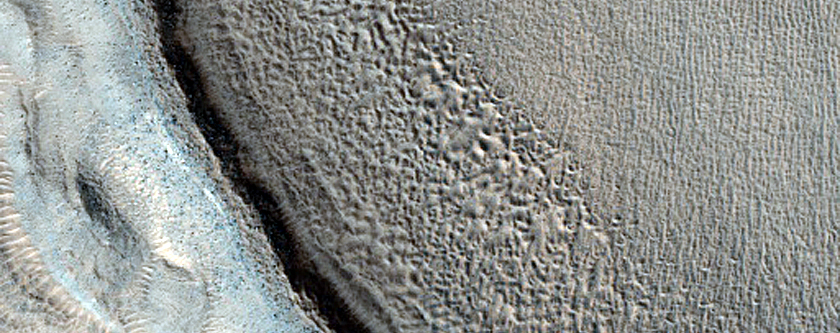 Ridges and Troughs in Protonilus Mensae