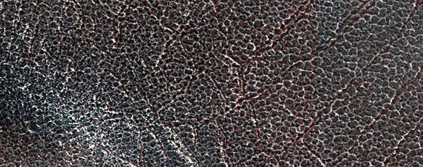 Terrain Sample