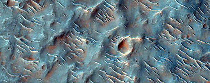 Terrain Sample