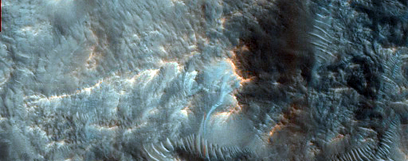 Terrain Sample