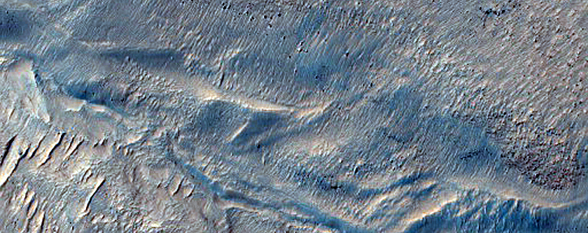 Gullies on Lobate Flow Feature Basin in Nereidum Montes