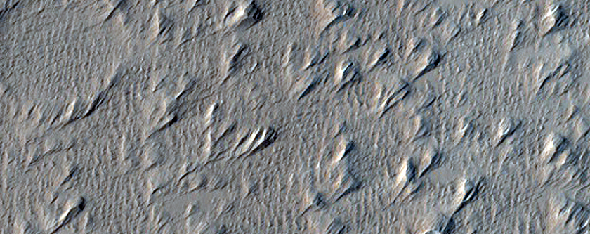 Terrain Sample