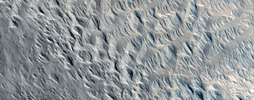 Terrain Sample