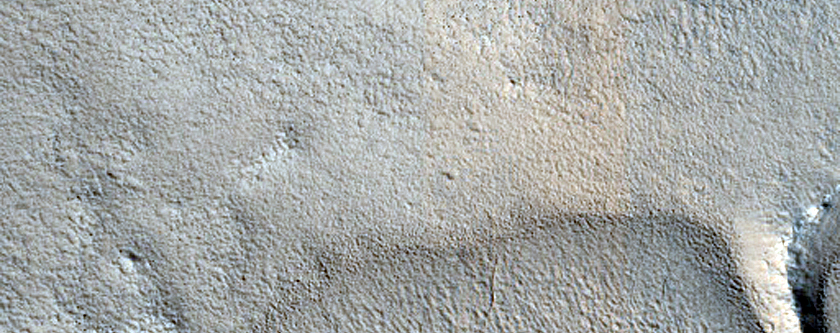 Terrain Sample