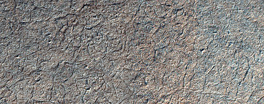 Terrain Sample