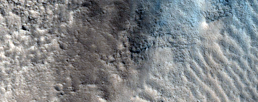 Fresh Impact Crater in Tempe Terra