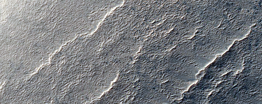 Terrain Sample