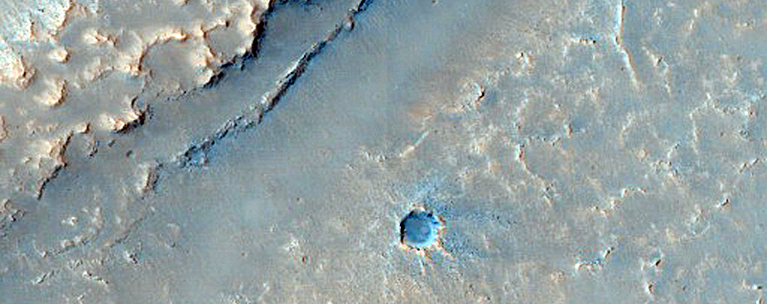 Terrain Sample