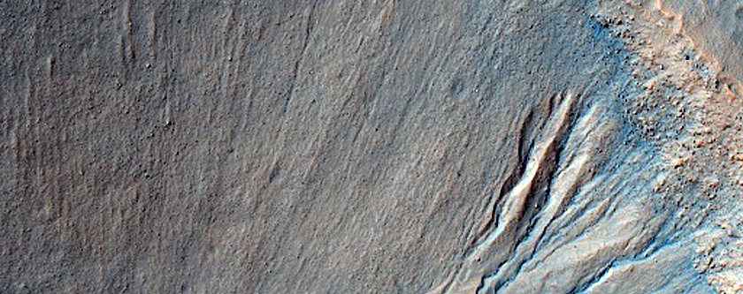 Gully Monitoring