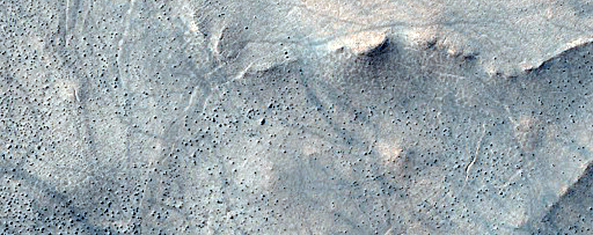 Terrain Sample