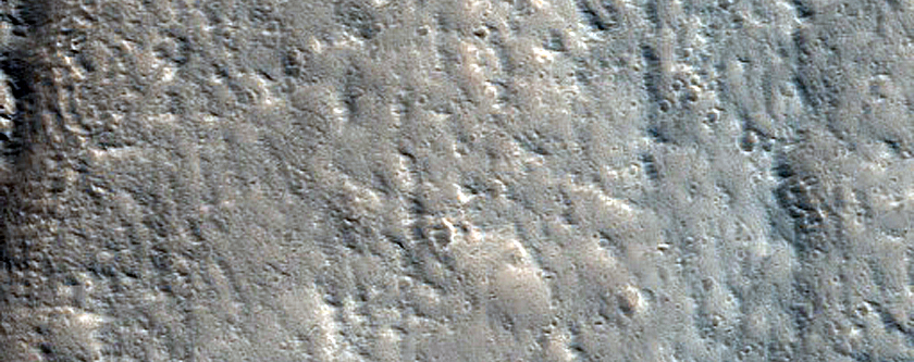 Terrain Sample