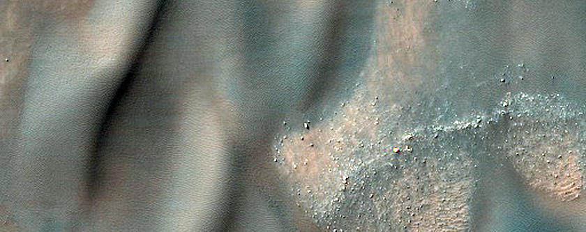 USGS Dune Database 2179-591 Monitoring