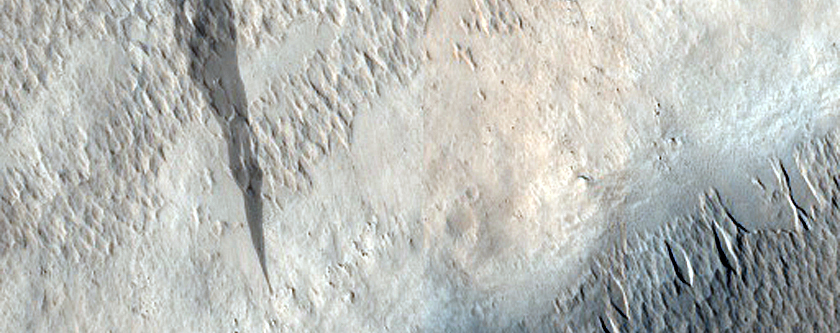 Terrain Sample
