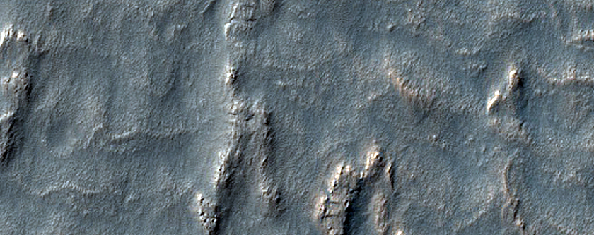 Terrain Sample