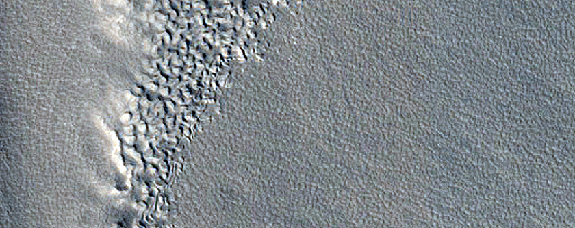 Terrain Sample