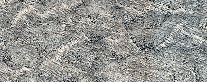Terrain Sample