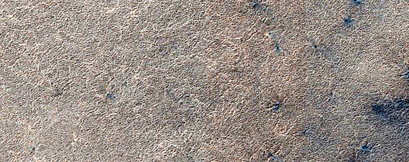 Terrain Sample