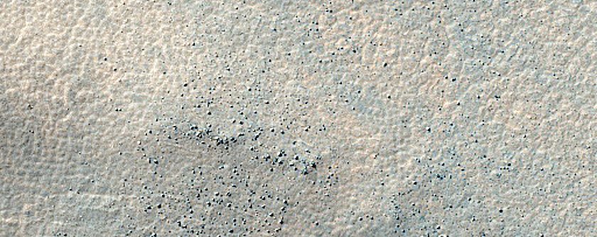 Terrain Sample