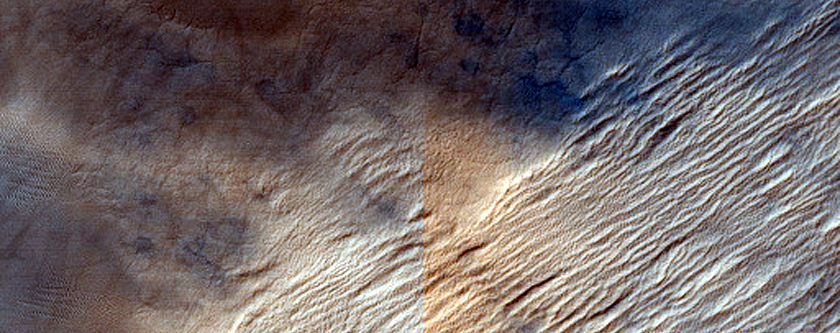 Cryptic Terrain Margin Monitoring in Reynolds Crater