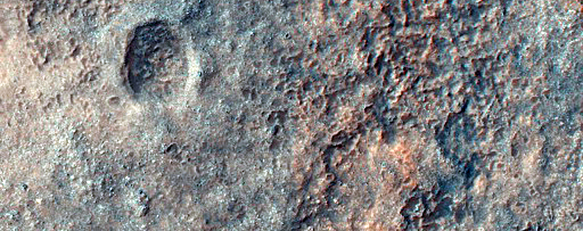Monitoring Dust Devil Tracks