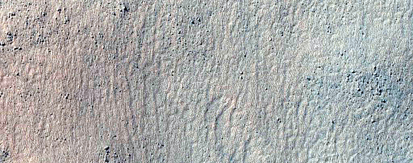 Gully Monitoring