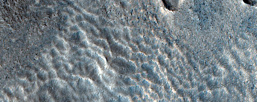 Terrain Sample