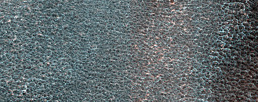 Terrain Sample